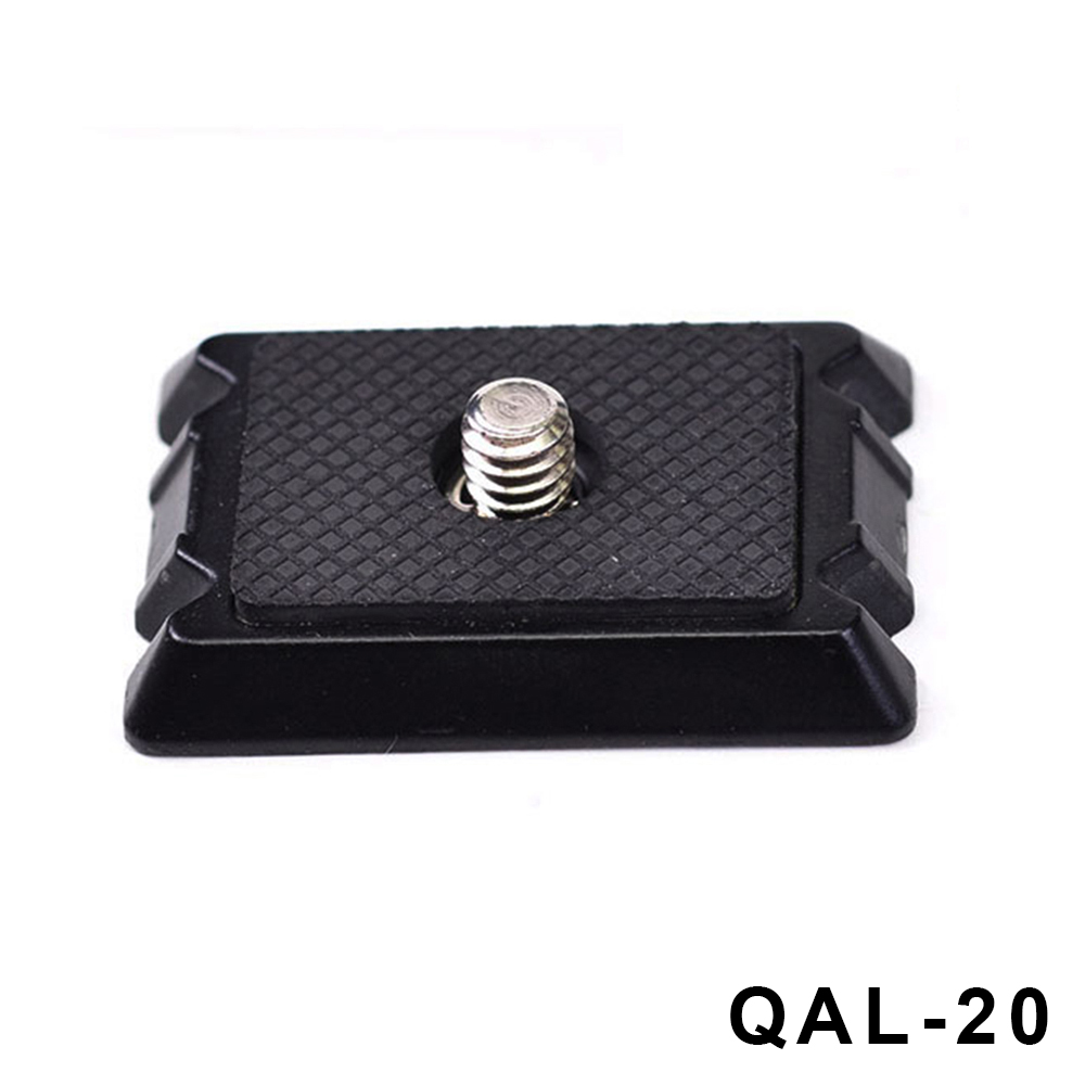 QAL-20.JPG